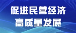 促进民营经济高质量发展