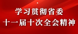 学习贯彻省委十一届十次全会精神